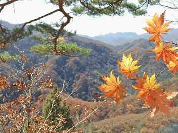 ③人气②播放量③涨粉，带你揭晓抖音黑科技助力直播间和短视频