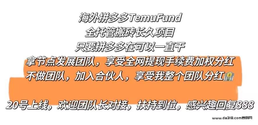 海外拼多多搬砖，日赚2000+，年赚百万，招募首码团队长，扶持到位，20号上线