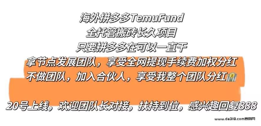 海外拼多多搬砖，日赚2000+，年赚百万，招募首码团队长，扶持到位，20号上线