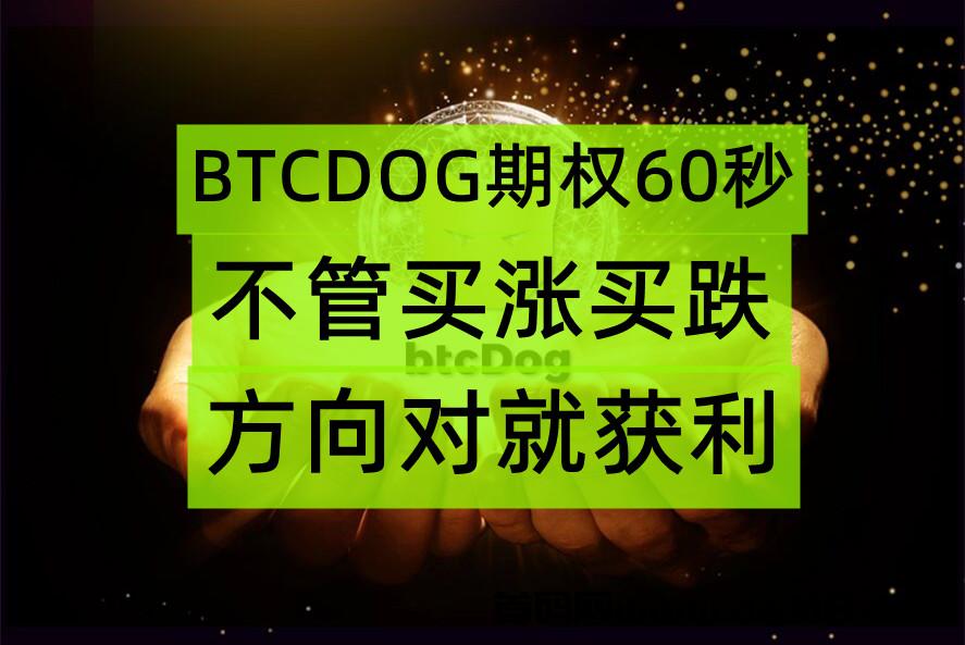 BTCDOG期权是什么？能赚钱吗？大咖带你全了解